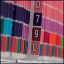 Colour-Coding